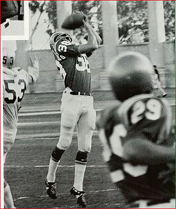 1969 3