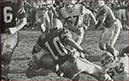 v cal luteran 1969